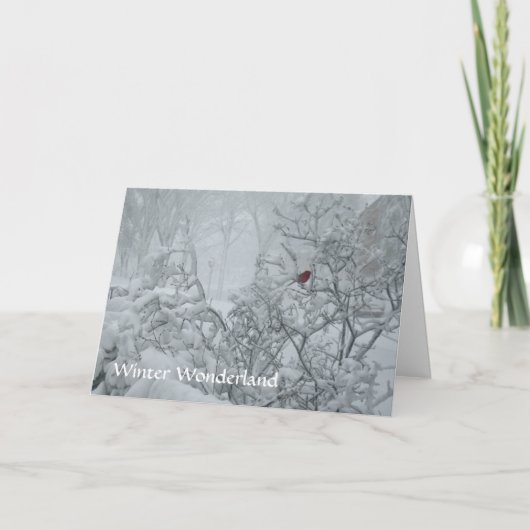 冬の不思議の国 シーズンカード (正面)