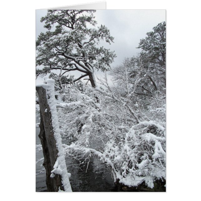 冬の不思議の国II (正面)