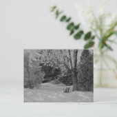 冬の公園ベンチ ポストカード (スタンド正面)