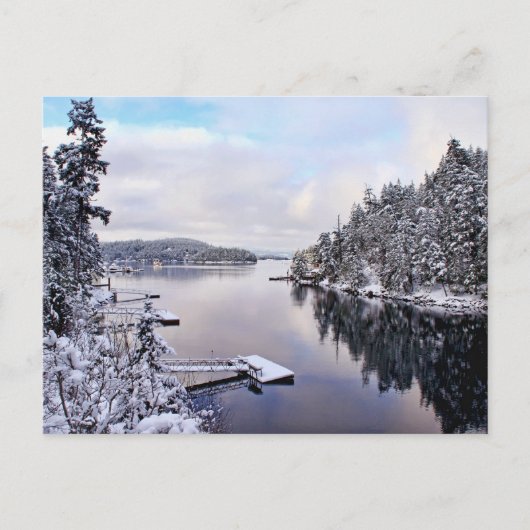 冬の写真の雪 ポストカード (正面)