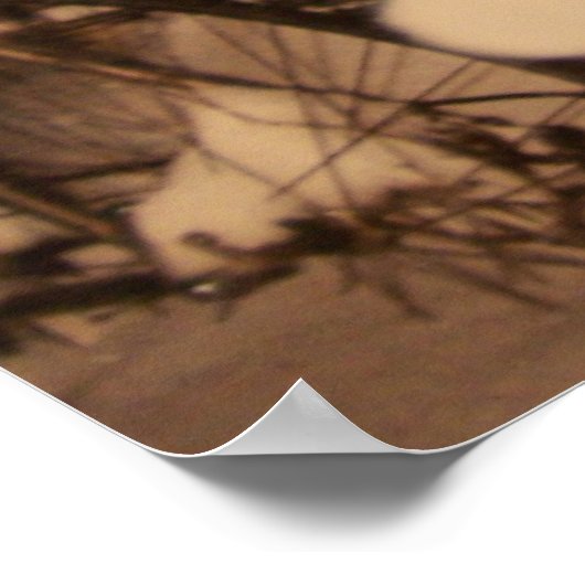 冬の写真 ポスター (角)