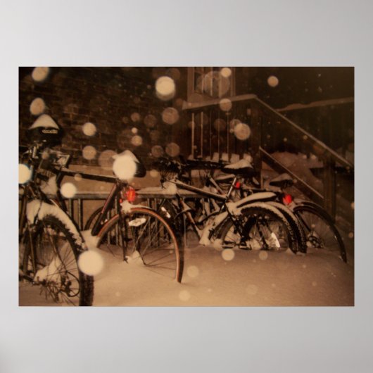 冬の写真 ポスター (正面)