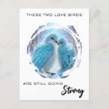 *～* 冬の写真  愛する鳥たち AP54 記念日