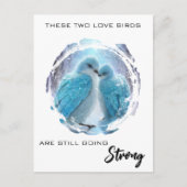 *～* 冬の写真  愛する鳥たち AP54 記念日 ポストカード (正面)