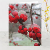 冬の冷凍と赤い果実の氷 カード (黄色い花)