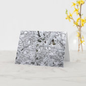 冬の凍ってい枝 カード (黄色い花)