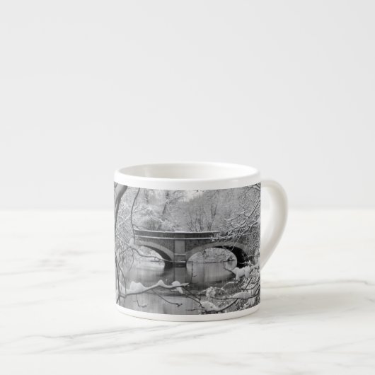 冬の凍結する川上のアーチ橋 エスプレッソカップ (正面右)