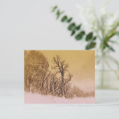 冬の初めのスカイライン ポストカード (スタンド正面)