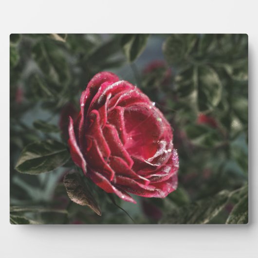 冬の別れの贈り物フォトプラーク フォトプラーク (正面)