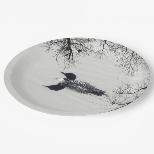 冬の北の湖で一般的なルーンの泳ぎ ペーパープレート (アングル)