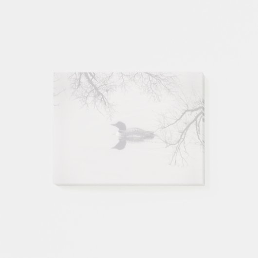 冬の北の湖で一般的なルーンの泳ぎ ポストイット (正面)