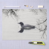冬の北の湖で一般的なルーンの泳ぎ 薄葉紙 (クラフト)
