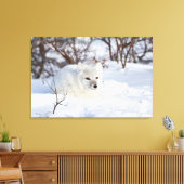 冬の北極キツネ キャンバスプリント (インサイチュ (リビング))