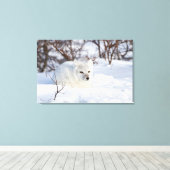 冬の北極キツネ キャンバスプリント (インサイチュ (ウッドフロア))