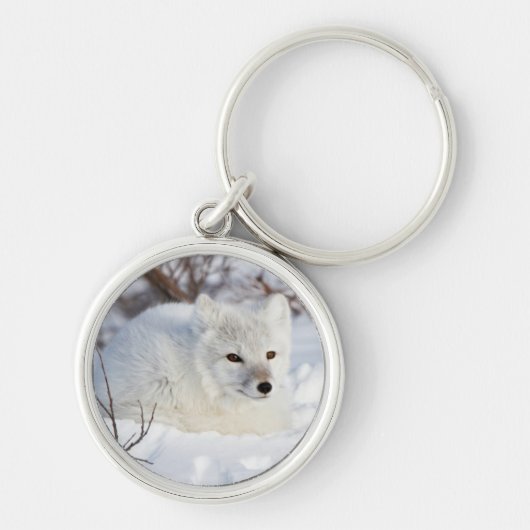 冬の北極キツネ キーホルダー (正面)