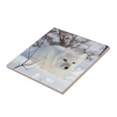 冬の北極キツネ タイル (側面)