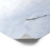 冬の北極キツネ ポスター (角)