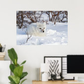 冬の北極キツネ ポスター (ホームオフィス)