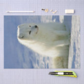 冬の北極キツネ 薄葉紙 (クラフト)