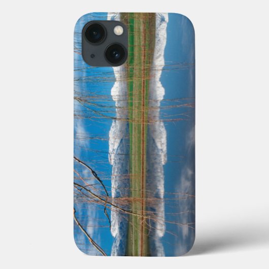 冬の反射ボランド·ディストリクト·セレス Case-Mate iPhoneケース (裏面)