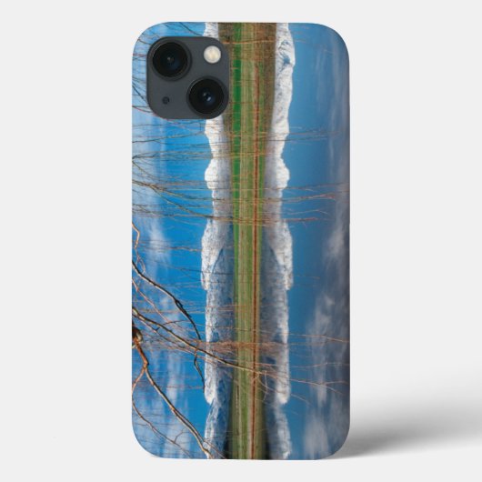 冬の反射ボランド·ディストリクト·セレス Case-Mate iPhoneケース (裏面)