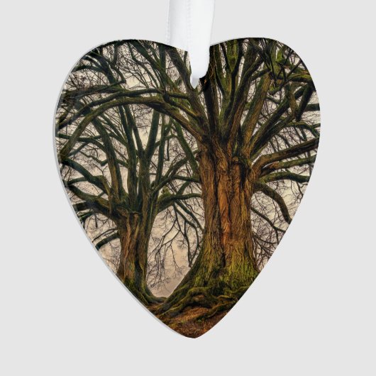 冬の古いオークの木 オーナメント (正面)