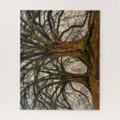 冬の古いオークの木 ジグソーパズル (縦)