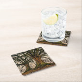 冬の古いオークの木 スクエアペーパーコースター (インサイチュ)