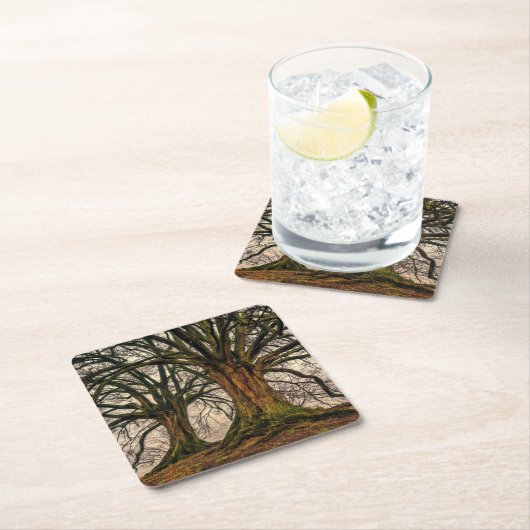 冬の古いオークの木 スクエアペーパーコースター (インサイチュ)