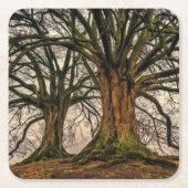 冬の古いオークの木 スクエアペーパーコースター (正面)