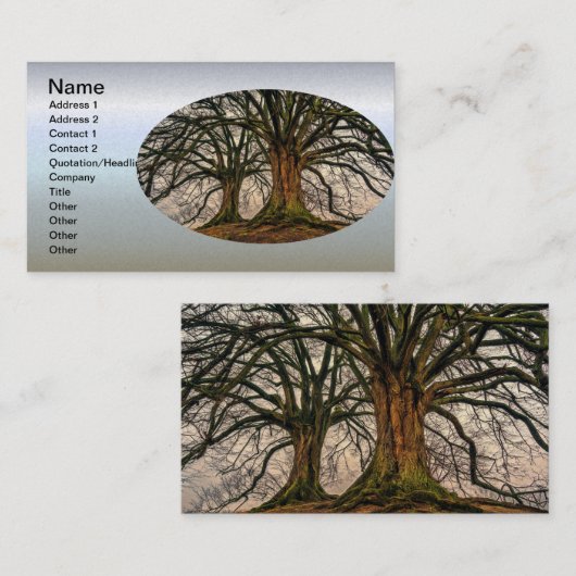 冬の古いオークの木 名刺 (正面/裏面)