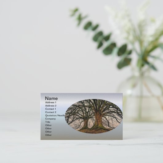 冬の古いオークの木 名刺 (スタンド正面)