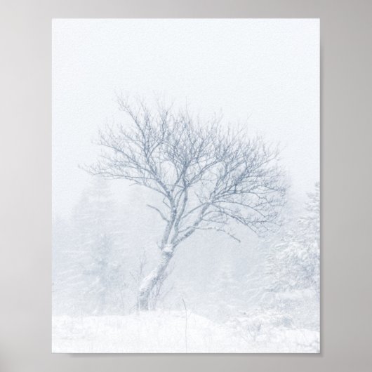 冬の吹雪の中の孤独な一本の木 ポスター (正面)