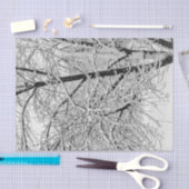 冬の吹雪の木の自然写真 薄葉紙 (クラフト)