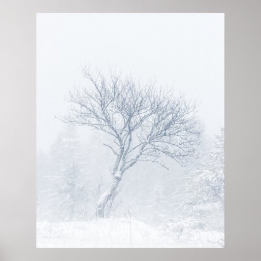 冬の吹雪の間の寂しい木 ポスター (正面)