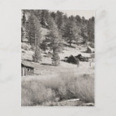 冬の国 ポストカード (正面)