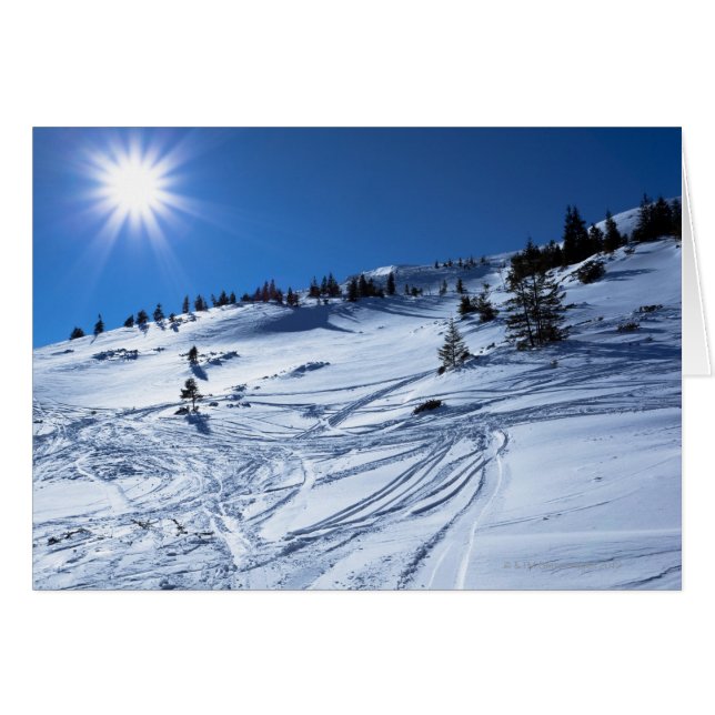 冬の土地の冬の太陽 (正面横)