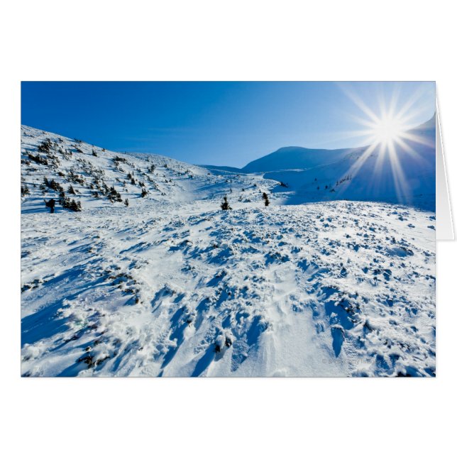 冬の土地 (正面横)