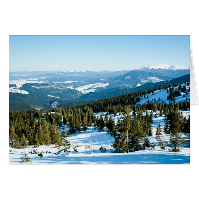 冬の土地2 (正面横)