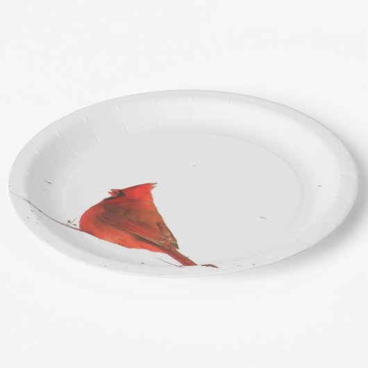 冬の基本的なパーティーのプレート ペーパープレート (アングル)