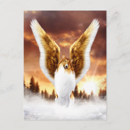 冬の夕日にコリーエンジェル ポストカード