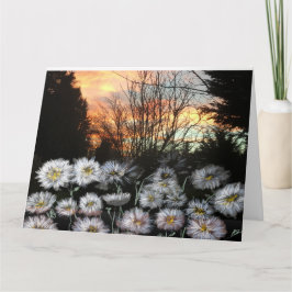 冬の夕日に向かって美しく新鮮なデイジー カード