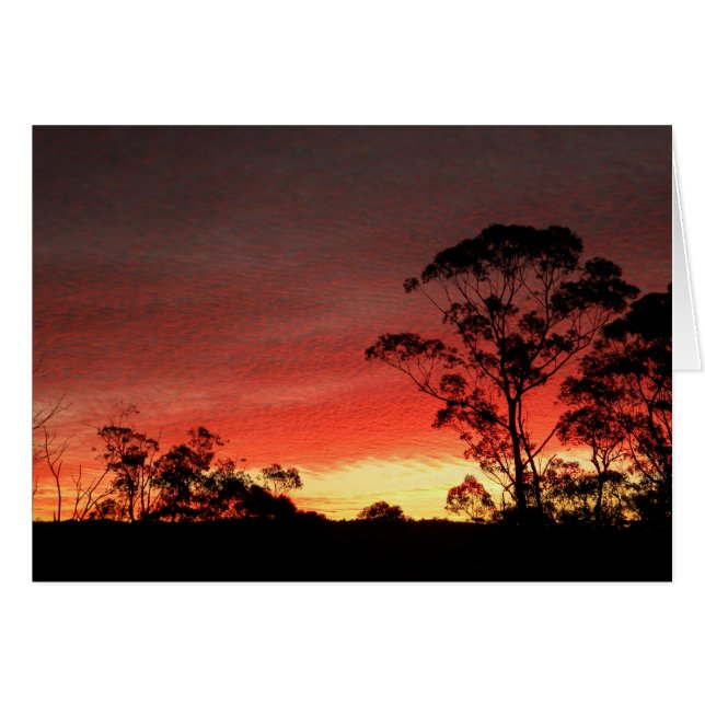 冬の夕日 (正面横)