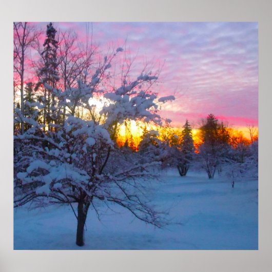 冬の夕日 ポスター (正面)