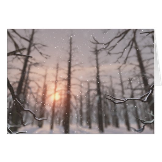 冬の夜の夢のカード (正面横)