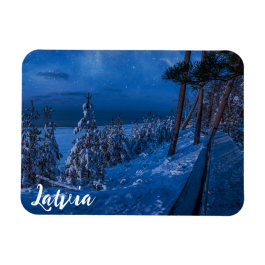 冬の夜の森の小道の磁石 マグネット (横)