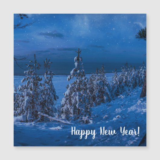 冬の夜の森の道 (正面)