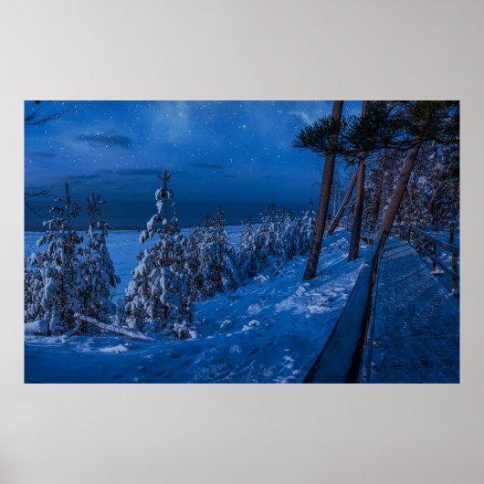 冬の夜の森の道 ポスター (正面)