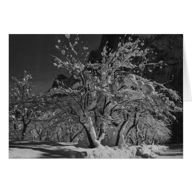 冬の夜 (正面横)