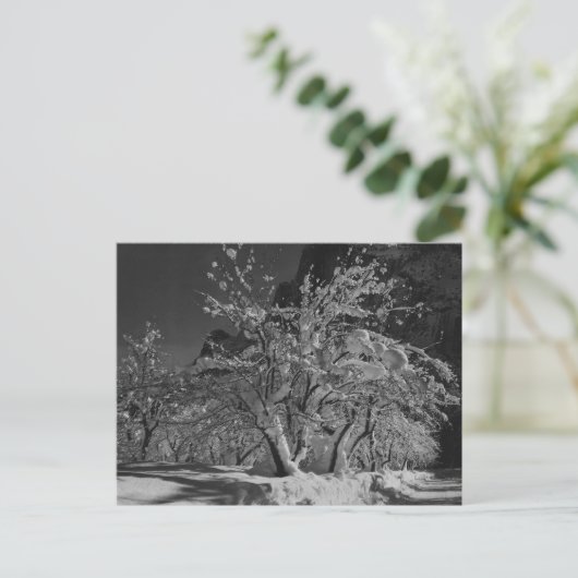 冬の夜 ポストカード (スタンド正面)